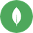 nextjs